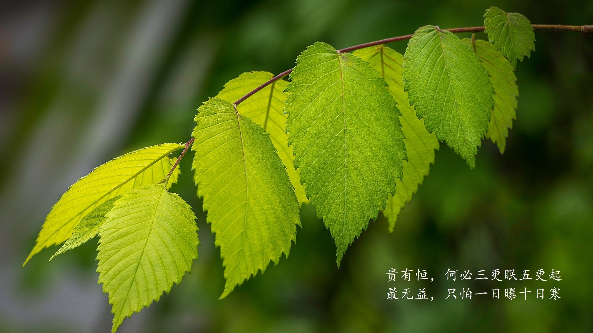今天铁矿粉价格走势分析(铁矿粉价格最新多少钱一吨)